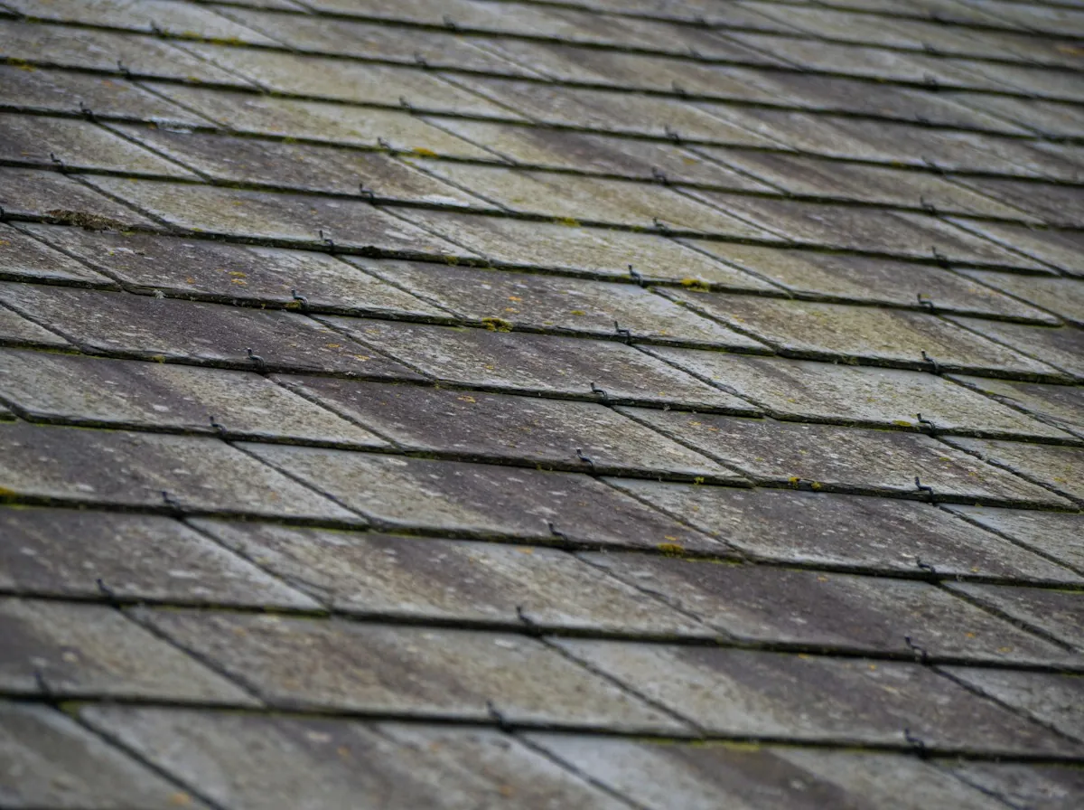 Shingle Roof Replacement in Glendale — old asphalt shingles worn smooth along a roof
